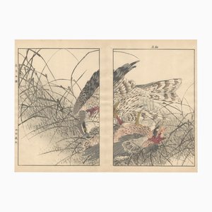Imao Keinen, Double-Page Eurasian Goshawk Grabbing Eurasian Teal from Keinen Kacho Gafu, 1892, Woodblock Print