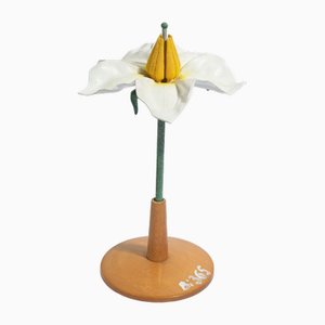 Vintage Potato Blossom School Model, 1950s