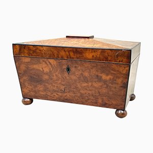 Large 19th Century Victorian Yew Tea Caddy, 1860