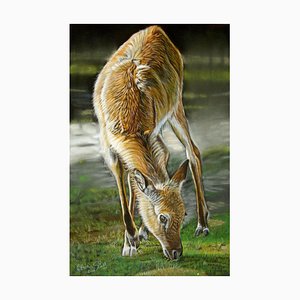 Christine Pultz, Wandering in Woods, 2010, Oil Pastel on Paper