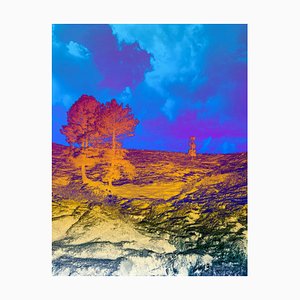 Sumit Mehndiratta, Thermal Dreams, 2023, Impresión de pigmento de archivo en lienzo