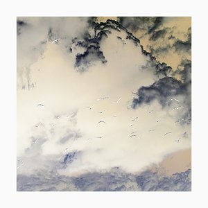 Laurence Gallien, A Thousand Mountains, 2022, Stampa fotografica