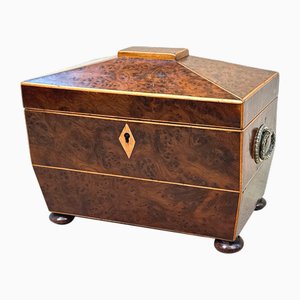 19th Century Burr Yew Tea Caddy, 1820