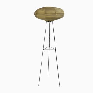 Mid-Century Floor Lamp with Raffia Shade, 1950s