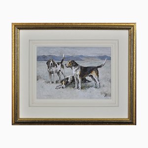 Arthur Wardle, A Hunt Pack of Welsh Hounds in Wales, 1900, Watercolor