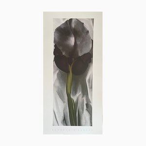Georgia O'Keeffe, Dark Iris I, 1927, Siebdruck