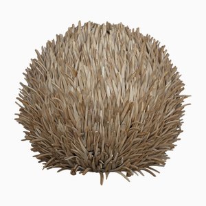 Lampe de Bureau Sea Urchin en Bois, 1990s