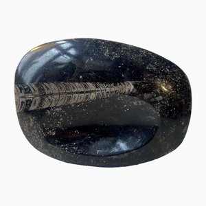 Fossilized Orthoseras Squid Polished Stone Ashtray, 1970s