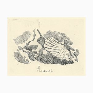 Giorgio Morandi, Shell Valve, 1924-1957, Lithograph