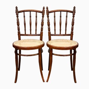 Antique Bistro Chairs with New Matte Seats by Michael Thonet for Thonet, Set of 4