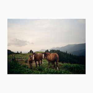 Zviagintseva Oksana, Polonyna (from Ukr. Meadow), 2000s, Photograph