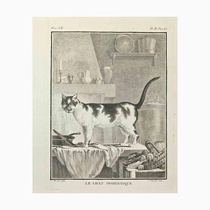 Jean Charles Baquoy, Le Chat d'Espagne, Etching, 1771