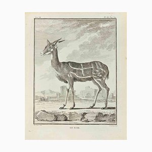 Louis Legrand, Le Guib, Etching, 1771