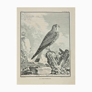 Madeleine Rousselet, La Cresserelle, Etching, 1771