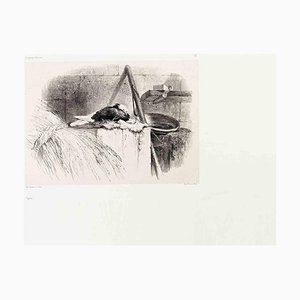 Karl Bodmer, Pigeon, Lithograph, 19th Century