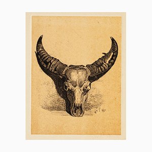 Carlo Coleman, Buffalo Skull, Lithograph, 1850