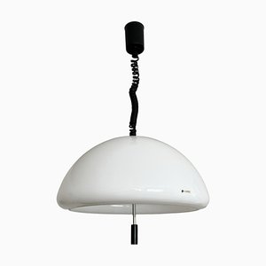 Cabras Pendant Light by Luigi Massoni for Meblo Guzzini, 1960s