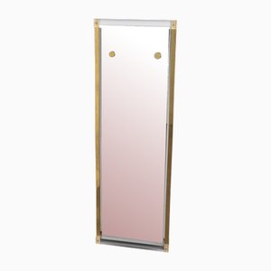 Vintage Regency Style Brass & Acrylic Mirror, Italy, 1970s