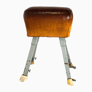 Vintage Turnpferd aus Leder mit Sprungbrett, 1960er, 2er Set