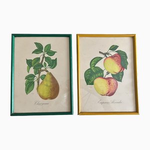 Sidney Zoltan Lucas, Fruits, Décadas de 1890-1910, Litografías, Juego de 2