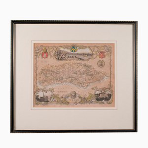 Mappa vittoriana della contea litografica inglese del Sussex