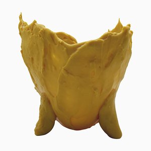 Italian Resin Vase by Gaetano Pesce for Fish Design, 2000s