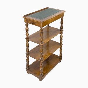 Vintage Bookcase, Italy, 19th Century