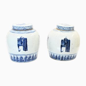 Blue and White Porcelain Lidded Urns, Set of 2