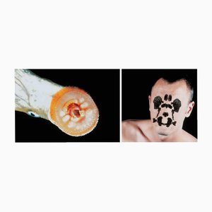 John Isaacs, Matrix of Amnesia, Mixed Media, 1999