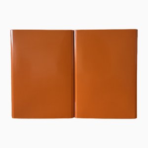 Cortina Badezimmerschrank von Carrara & Matta, 1970er