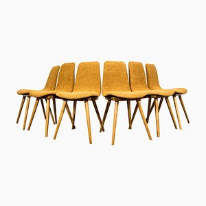 Dining Chairs from Fameg, Poland, 1960s, Set of 6