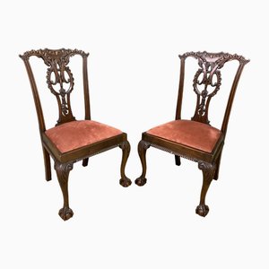 Mahagoni Stühle im Chippendale Stil, 1900, 2er Set