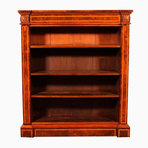 Offenes Bücherregal aus Wurzelholz, 1820er