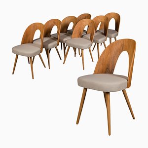 Walnut Dining Room Chairs by A. Šuman, 1960s, Set of 8