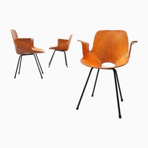 Medea Chair with Armrest by Vittorio Nobili for Fratelli Tagliabue, Italy, 1950s