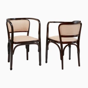 Set of Armchairs by Gustav Siegel, 1900s