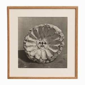 Brassaï, Picasso's Sculpture, 1948, Photogravure
