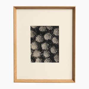 Karl Blossfeldt, Nature's Elegance, 1942, Photogravure, Framed
