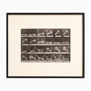 Eadweard Muybridge, Black and White Hand with Ball Movement, 1982, Photograph, Framed