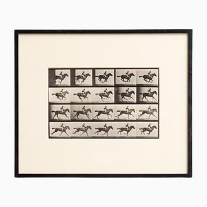 Eadweard Muybridge, Horse in Motion Study, 1982, Black and White Photograph, Framed