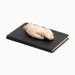 Oeuvre d'art Sculpturale du Cabinet des Curiosités, 1950s