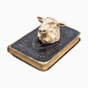 Sculptural Artwork with Book and Mysterious Animal Head, 1990s