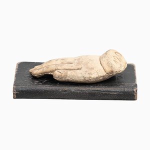 Cabinet of Curiosities Book Sculpture, 1950s