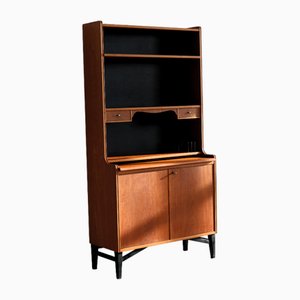 Schwedischer Vintage Wandschrank, 1960er