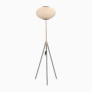 Tripod Height-Adjustable Floor Lamp with Toroidal Pleated Shade, 1950s