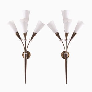 Arum Wall Lights from Maison Lunel, 1950s, Set of 2