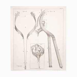 Lorenz Heister, Surgical Instruments, Etching, 1750