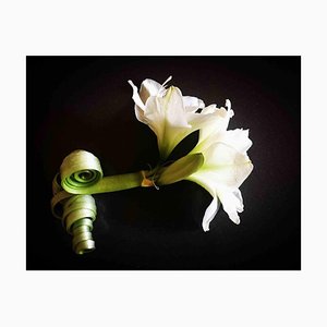 Cindi Emond, Flower with Curled Stem, Photograph, 2019