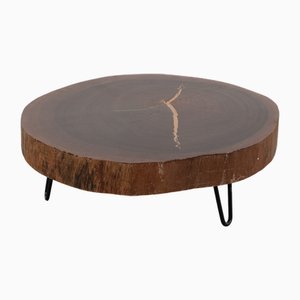 Tree Trunk Table with New Legs