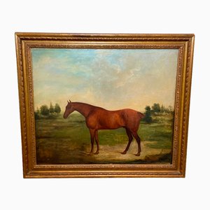James Barenger, Dipinto ad olio Ritratto Bay Hunter Horse Partisan, Olio su tela, Incorniciato